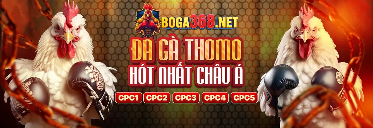 Đội ngũ hỗ trợ mibet khuyến mãi sẵn sàng phục vụ bạn